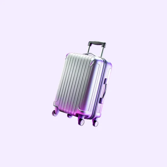 Für Reisen, Investitionen und Auslandseinnahmen