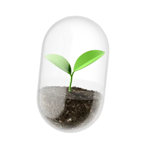 sprout